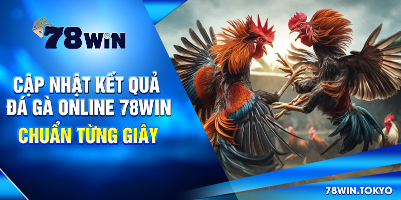 Cập Nhật Kết Quả Đá Gà Online 78WIN – Chuẩn Từng Giây 5 Cập Nhật Kết Quả Đá Gà Online 78win – Chuẩn Từng Giây