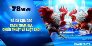 Đá Gà Cựa Dao - Cách Tham Gia, Chiến Thuật Và Luật Chơi